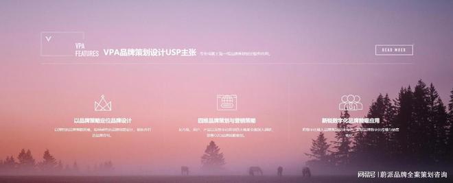 BD半島網(wǎng)址品牌全案籌謀：揭秘企業(yè)制勝市場(chǎng)的奧秘兵器(圖2)