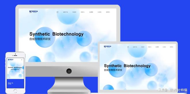 BD半島滿意多樣化需求的網(wǎng)站建立同伴：為您供給全方位建站處理計(jì)劃